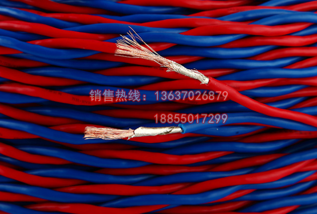 低烟无卤电缆WDZN-RYJS-2*1.5