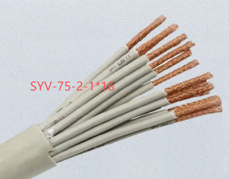 19ac9c97-c2e5-4571-bcda-638159bc6d3b.png